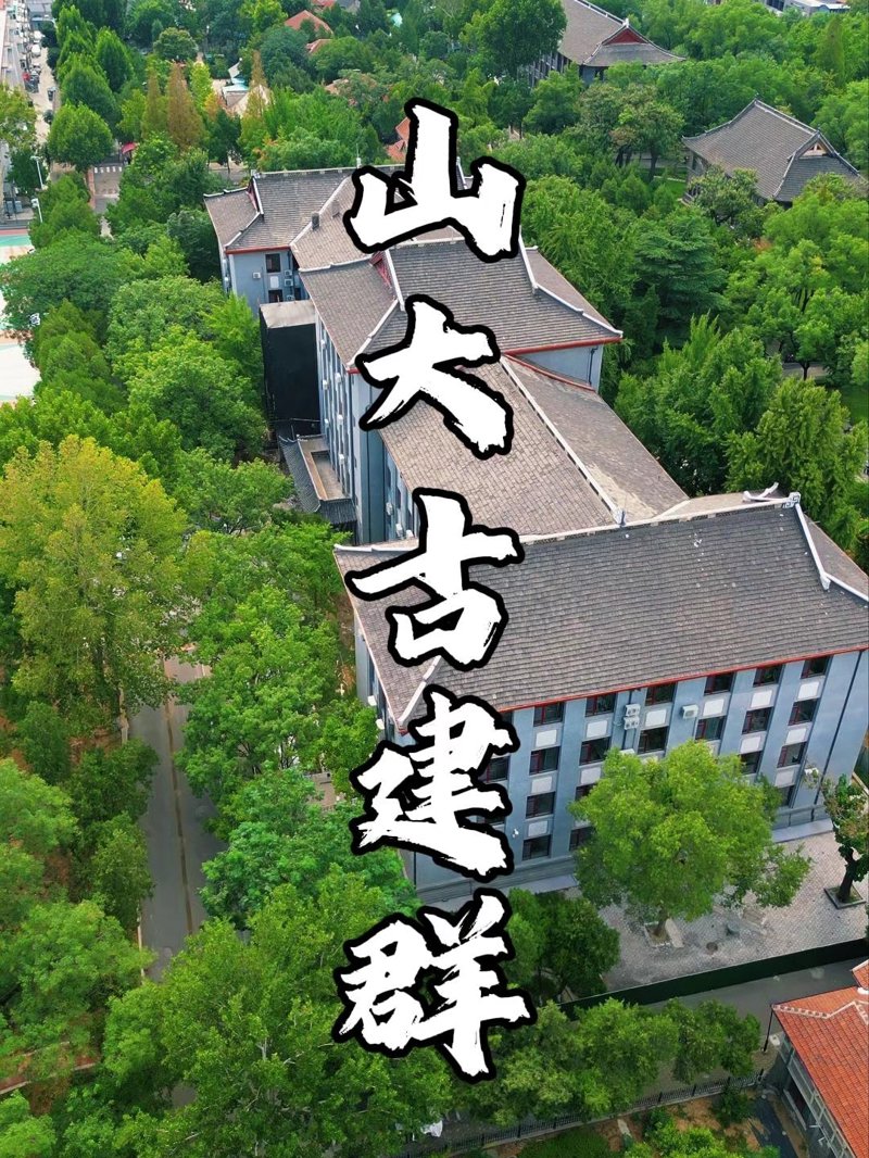 聚焦城市教育：城建领域中的教育创新与展望